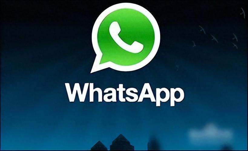 whatsapp不能发图片了别着急这些排查方法帮你恢复使用 whatsapp不能发图片了别着急这些排查方法帮你恢复使用