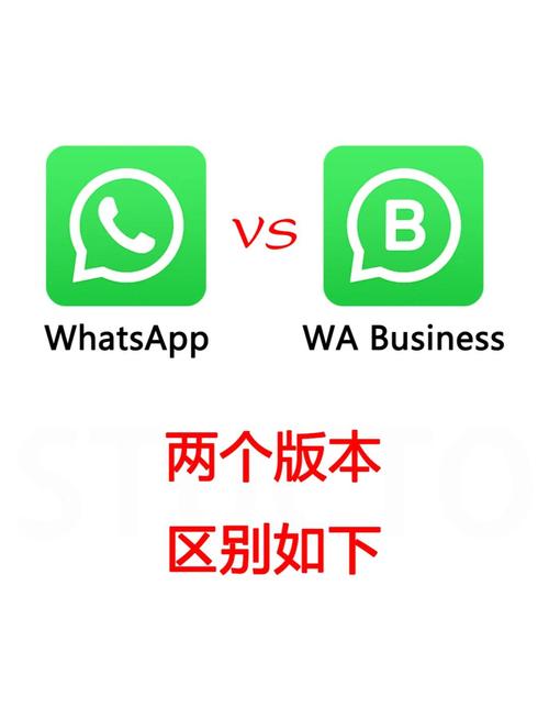 whatsapp web版电脑端登录与日常聊天管理实用指南 whatsapp web版电脑端登录与日常聊天管理实用指南