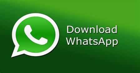WhatsApp删除账号前必须了解的操作步骤与注意事项 WhatsApp删除账号前必须了解的操作步骤与注意事项