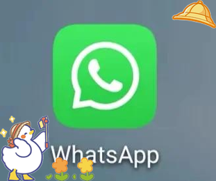 whatsapp开发全流程指南与企业级应用实践 whatsapp开发全流程指南与企业级应用实践