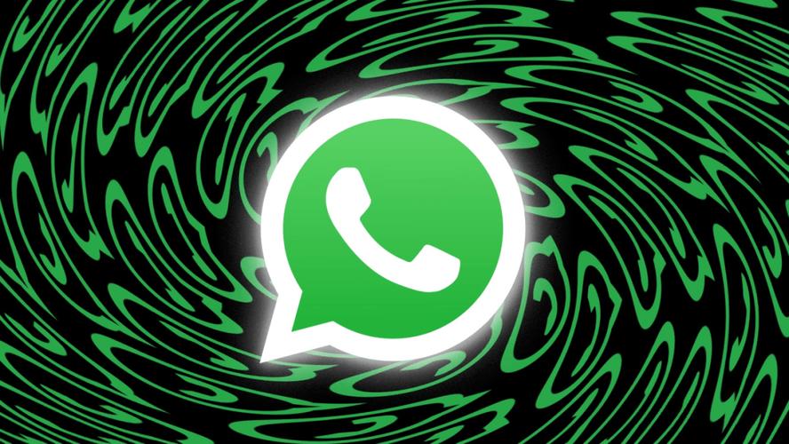 通过whatsapp加美国好友的实用方法与安全注意事项 通过whatsapp加美国好友的实用方法与安全注意事项